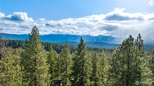 0LotB R&R Heights, Roslyn, WA 98941 - photo 13