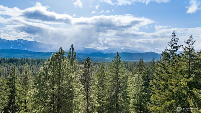 0LotB R&R Heights, Roslyn, WA 98941 - photo 14