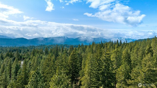 0LotB R&R Heights, Roslyn, WA 98941 - photo 15