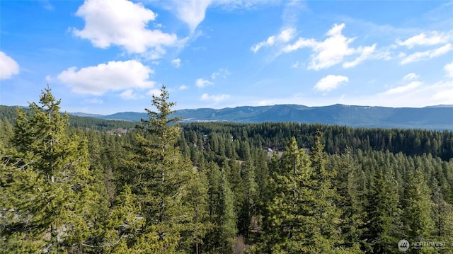 0LotB R&R Heights, Roslyn, WA 98941 - photo 16