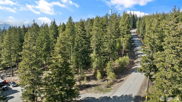 0LotB R&R Heights, Roslyn, WA 98941 - photo 2