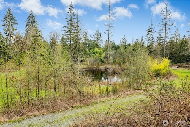 view of nature featuring a view of trees