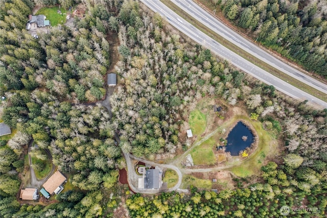 drone / aerial view
