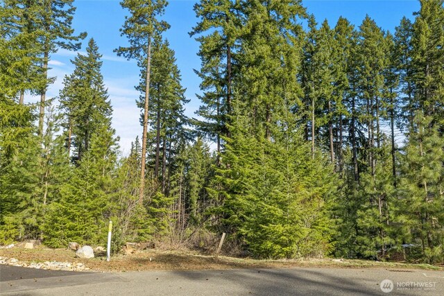 161 Sanctuary Ct, Cle Elum, WA 98922 - photo 2