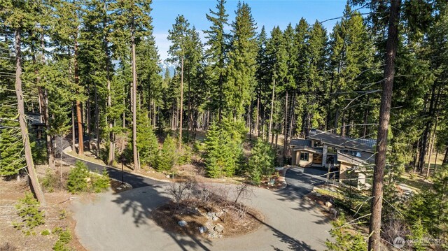 161 Sanctuary Ct, Cle Elum, WA 98922 - photo 5