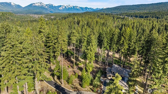 161 Sanctuary Ct, Cle Elum, WA 98922 - photo 6