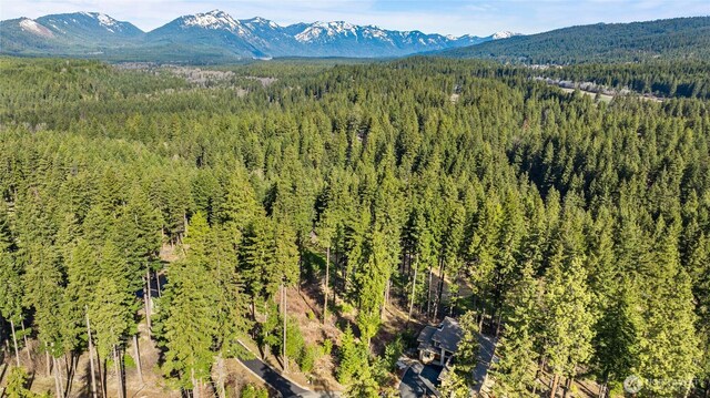 161 Sanctuary Ct, Cle Elum, WA 98922 - photo 7