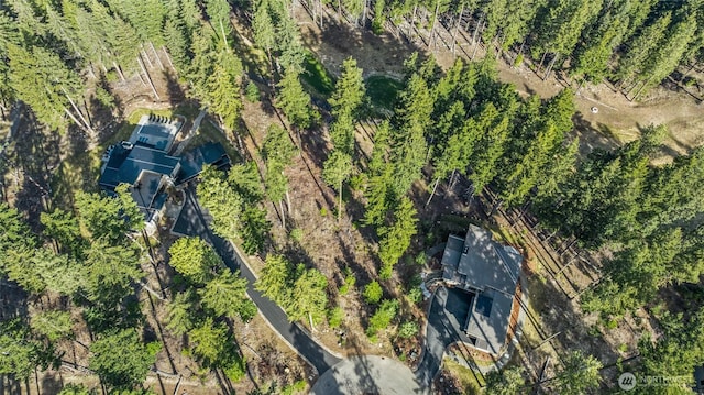 161 Sanctuary Ct, Cle Elum, WA 98922 - photo 8