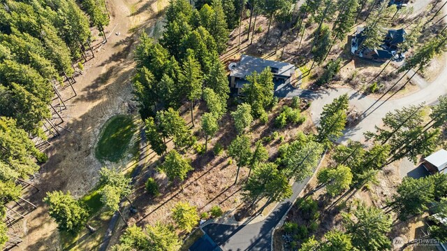 161 Sanctuary Ct, Cle Elum, WA 98922 - photo 9