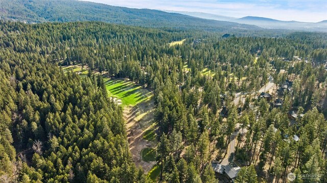 161 Sanctuary Ct, Cle Elum, WA 98922 - photo 10