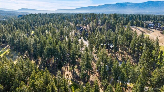 161 Sanctuary Ct, Cle Elum, WA 98922 - photo 11