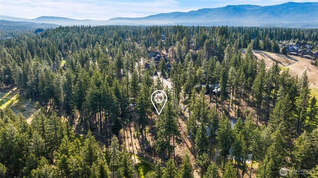 161 Sanctuary Ct, Cle Elum, WA 98922 - photo 12