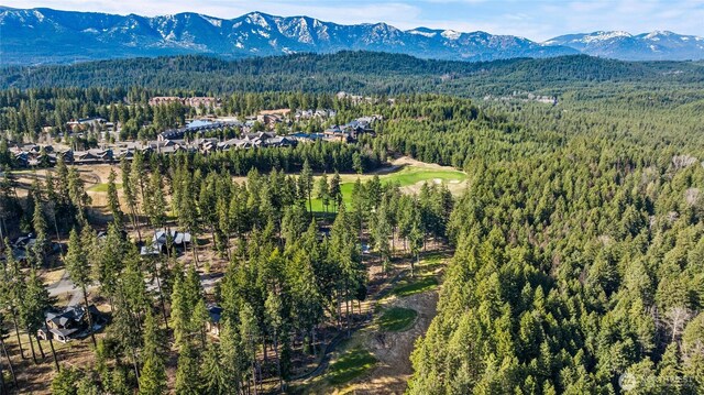 161 Sanctuary Ct, Cle Elum, WA 98922 - photo 13