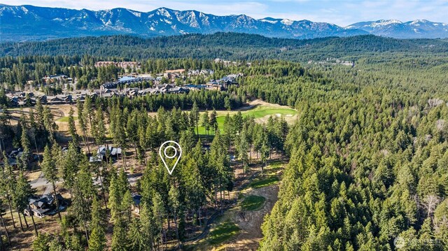 161 Sanctuary Ct, Cle Elum, WA 98922 - photo 14