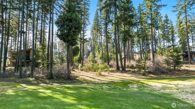 161 Sanctuary Ct, Cle Elum, WA 98922 - photo 16
