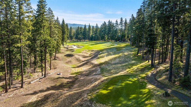 161 Sanctuary Ct, Cle Elum, WA 98922 - photo 17