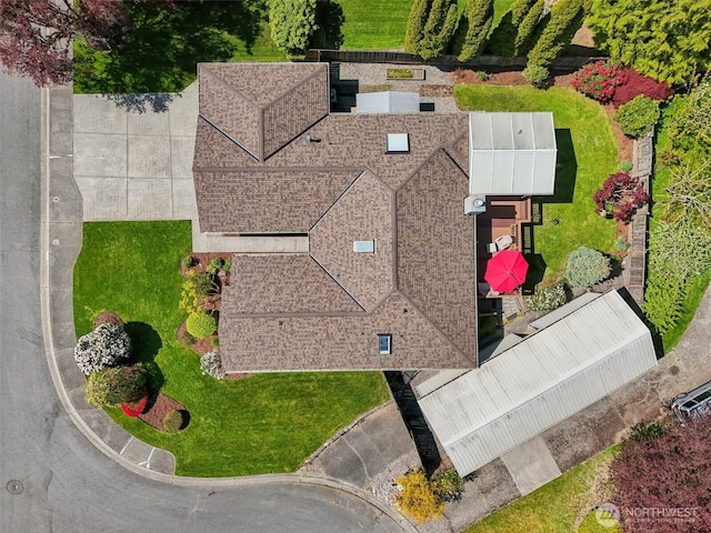 bird's eye view