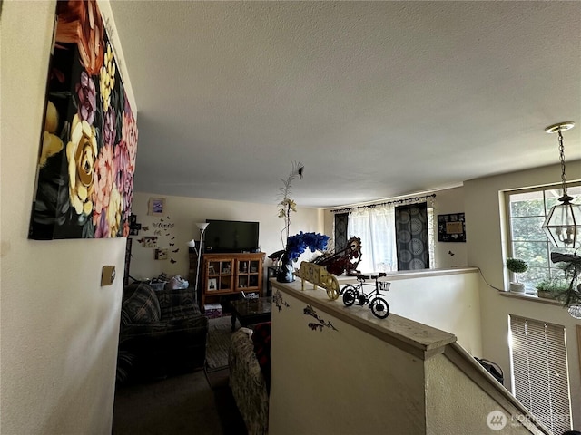 7421 114th St E, Puyallup, WA 98373 - photo 7