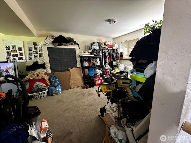 7421 114th St E, Puyallup, WA 98373 - photo 21