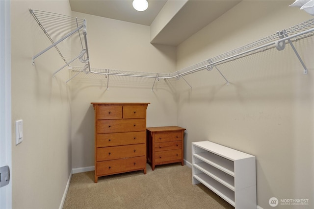 23154 Sunserra Loop NW Unit B15, Quincy, WA 98848 - spacious closet with carpet
