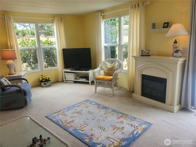 living room featuring a glass covered fireplace, a healthy amount of sunlight, and carpet floors