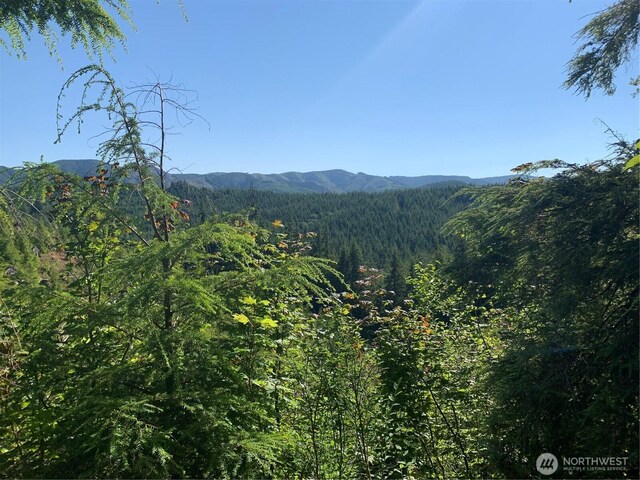 1TRACT Parpala Rd, Naselle, WA 98638 - photo 18