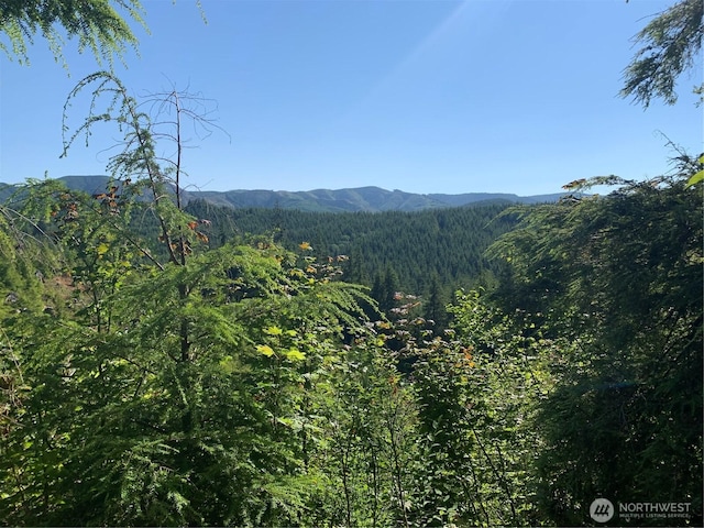 2TRACT Parpala Rd, Naselle, WA 98638 - photo 18