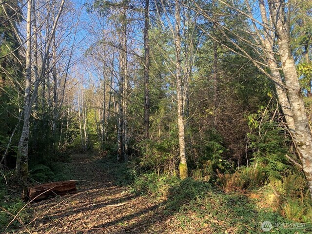 3TRACT Parpala Rd, Naselle, WA 98638 - photo 24