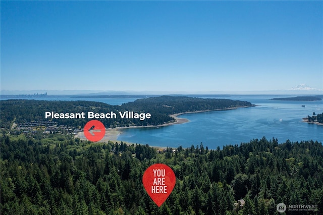 4657 Island Ave NE, Bainbridge Island, WA 98110 - drone / aerial view of a heavily wooded area and a nearby body of water