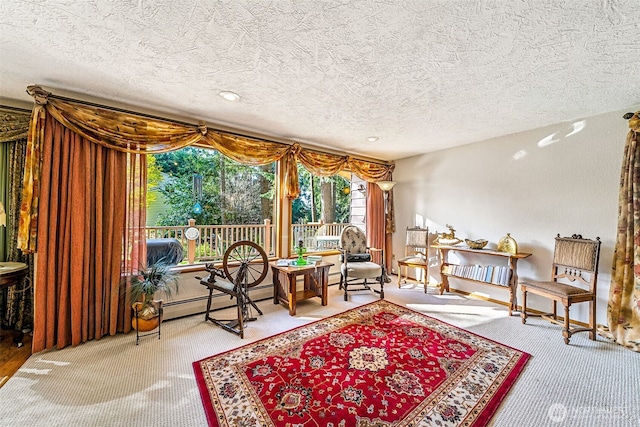 sitting room featuring carpet, baseboard heating, and a textured ceiling