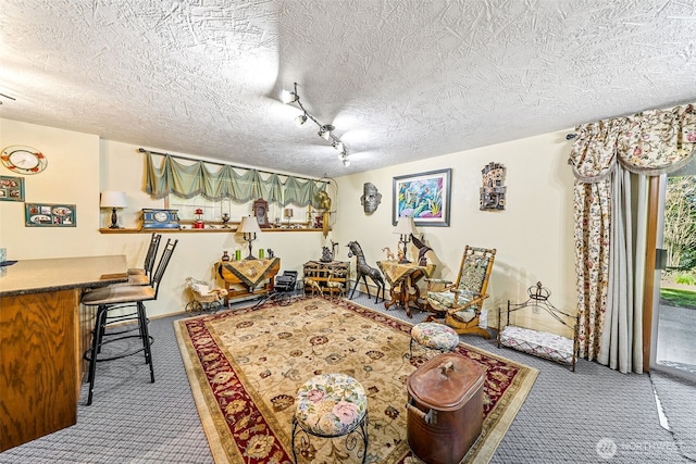 interior space featuring carpet and a textured ceiling