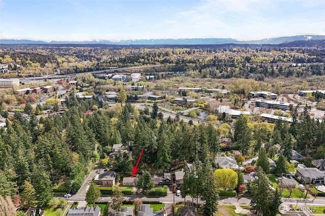 1210 108th Ave SE, Bellevue, WA 98004 - bird's eye view with a view of trees and a mountain view