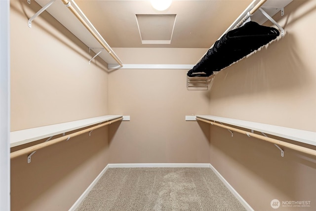 walk in closet with carpet and attic access