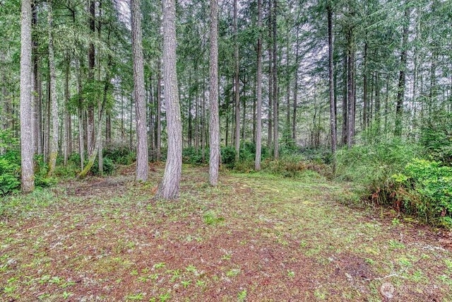2822 200th Ave SW, Lakebay, WA 98349 - view of tree filled area