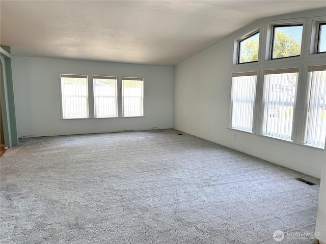 3010 W Peninsula Dr Unit 109, Moses Lake, WA 98837 - spare room featuring plenty of natural light, carpet, and vaulted ceiling