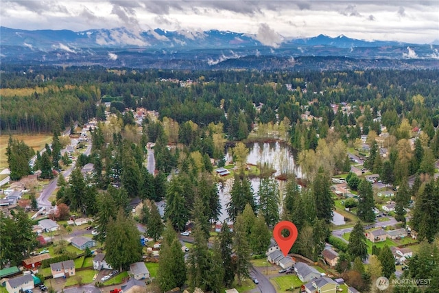 20210 La Paloma Dr E, Bonney Lake, WA 98391 - birds eye view of property featuring a wooded view and a mountain view