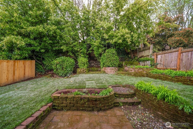 view of yard with a patio and a fenced backyard