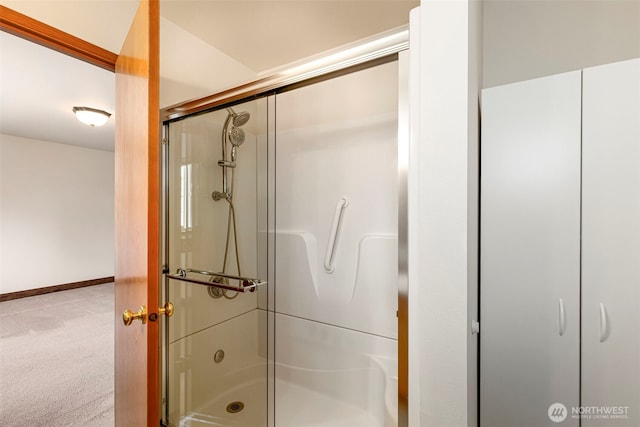 full bathroom featuring baseboards and a shower with door