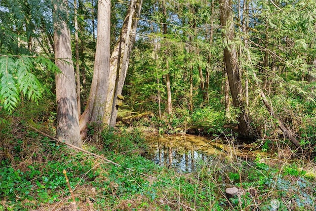 view of local wilderness featuring a wooded view