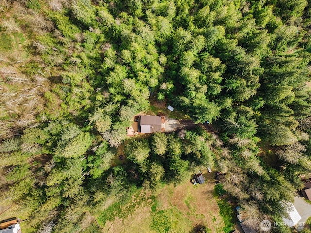 aerial view with a forest view