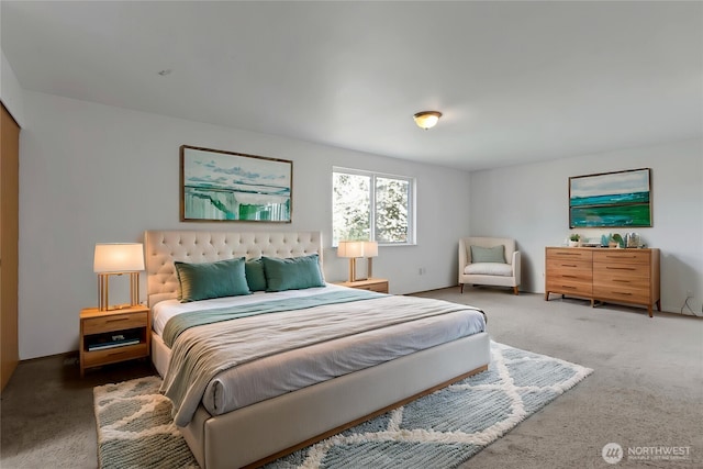 8703 232nd Street Ct E, Graham, WA 98338 - bedroom with carpet floors