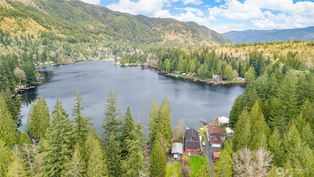 3058 Camp 2 Rd, Sedro Woolley, WA 98284 - drone / aerial view of a forest and a water and mountain view