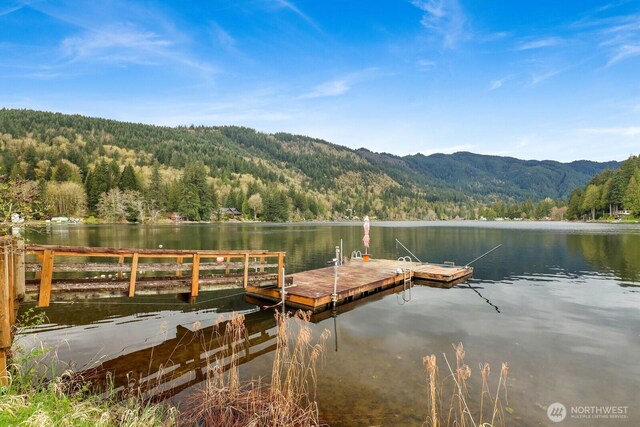 3058 Camp 2 Rd, Sedro Woolley, WA 98284 - dock area featuring a view of trees and a water and mountain view