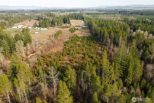 birds eye view of property featuring a forest view and a mountain view