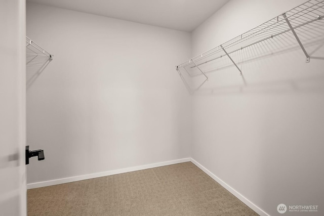 spacious closet with carpet flooring