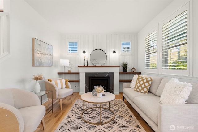living area featuring wood finished floors and a fireplace