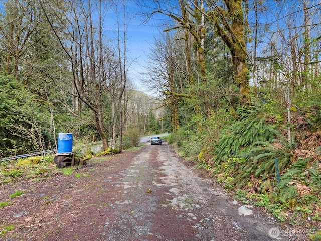 view of street with a view of trees