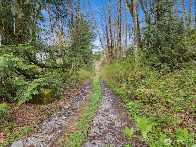 view of street featuring a forest view