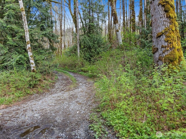 view of street featuring a forest view