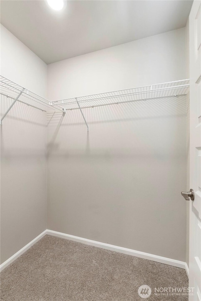 14943 Tyee Dr E, Bonney Lake, WA 98391 - photo 19